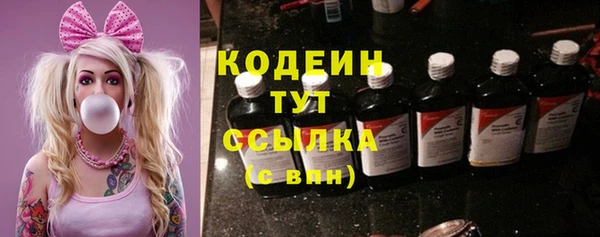 дживик Пересвет