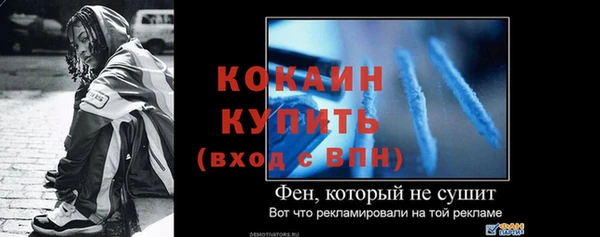 дживик Пересвет