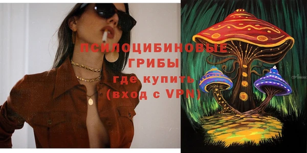 дживик Пересвет