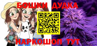 сатива Балахна