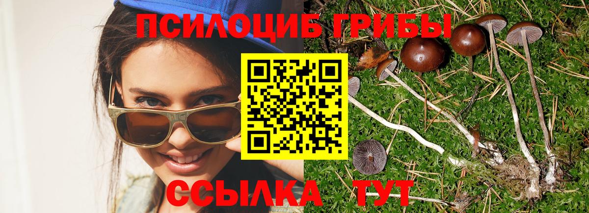 Галлюциногенные грибы мухоморы  Псилоцибиновые грибы MAGIC MUSHROOMS  Усть-Лабинск 
