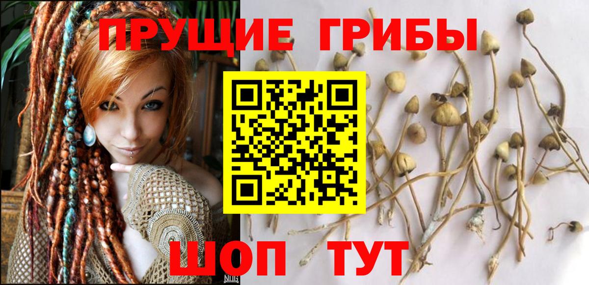 Усть-Лабинск  Псилоцибиновые грибы Magic Shrooms  Вход с VPN 